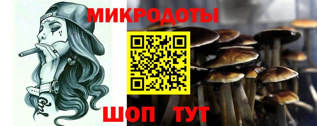 Псилоцибиновые грибы Cubensis  Вход с VPN  Фурманов  купить наркоту  Псилоцибиновые грибы GOLDEN TEACHER 